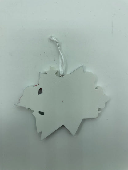 Science Star Ornament School Kid